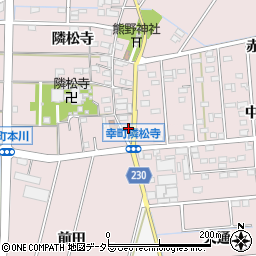 愛知県豊田市幸町隣松寺161周辺の地図
