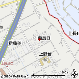 愛知県東海市富木島町（西長口）周辺の地図