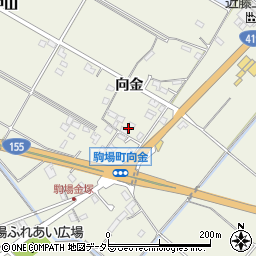 愛知県豊田市駒場町向金周辺の地図