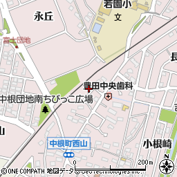 愛知県豊田市中根町町田8周辺の地図