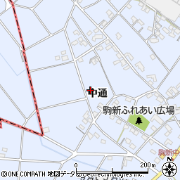 愛知県豊田市駒新町中通周辺の地図