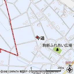 愛知県豊田市駒新町（中通）周辺の地図