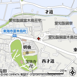 愛知県東海市富木島町西才道1周辺の地図