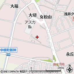 愛知県豊田市中根町大切周辺の地図