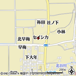 京都府亀岡市保津町セイシカ周辺の地図