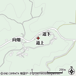 愛知県岡崎市日影町道下16周辺の地図