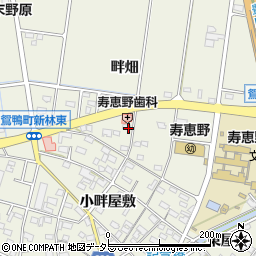 愛知県豊田市鴛鴨町畔畑周辺の地図