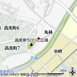 愛知県豊田市広田町丸林周辺の地図