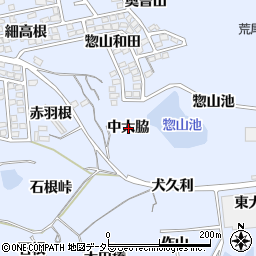 愛知県東海市荒尾町中大脇周辺の地図