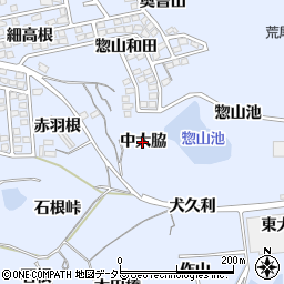 愛知県東海市荒尾町（中大脇）周辺の地図
