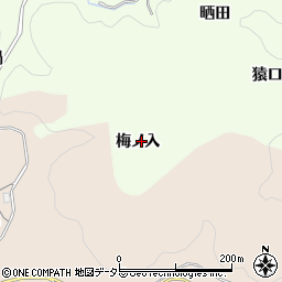 愛知県豊田市九久平町梅ノ入周辺の地図