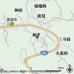愛知県豊田市松平町柿平周辺の地図