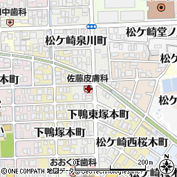 佐藤皮膚科医院周辺の地図