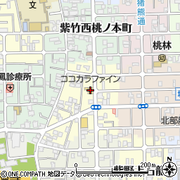 ココカラファイン大宮今宮店周辺の地図