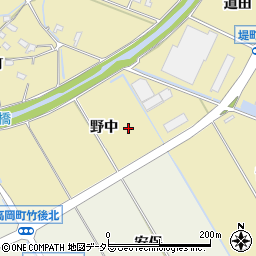 愛知県豊田市堤町野中周辺の地図