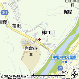 愛知県豊田市岩倉町林口周辺の地図