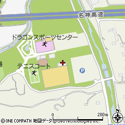 竜王町総合運動公園　ドラゴンハット周辺の地図