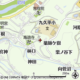 愛知県豊田市九久平町薬師ケ嶽14周辺の地図