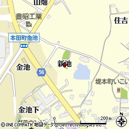 愛知県豊田市堤本町新池周辺の地図