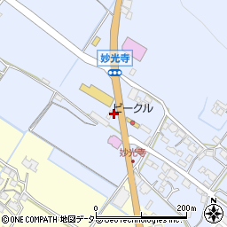 滋賀県野洲市妙光寺202周辺の地図