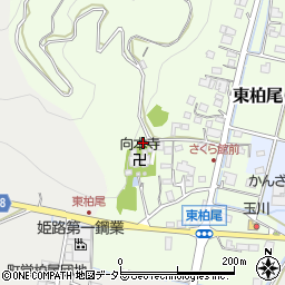 向本寺周辺の地図