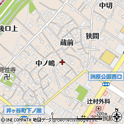 愛知県刈谷市井ケ谷町中ノ嶋14周辺の地図