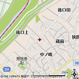 愛知県刈谷市井ケ谷町中ノ嶋3周辺の地図