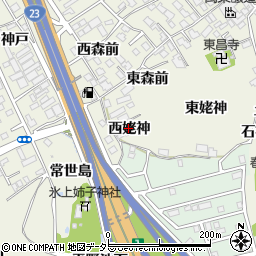 愛知県名古屋市緑区大高町西姥神周辺の地図