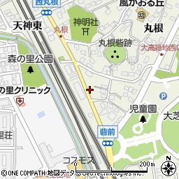 愛知県名古屋市緑区大高町砦前45周辺の地図