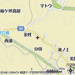 愛知県豊田市坂上町金姓周辺の地図