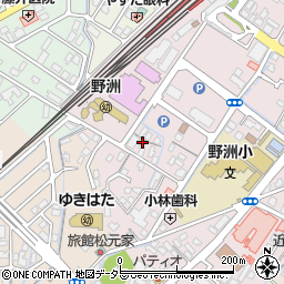 滋賀県野洲市小篠原2169周辺の地図