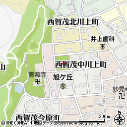 川上公園周辺の地図