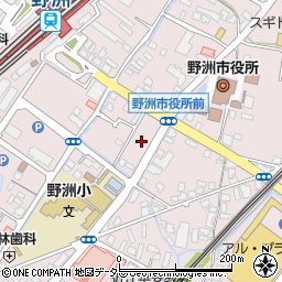 滋賀県野洲市小篠原1181周辺の地図