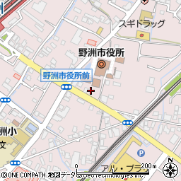 滋賀県野洲市小篠原1249周辺の地図