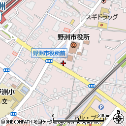 滋賀県野洲市小篠原1248周辺の地図