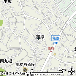 愛知県名古屋市緑区大高町亀原周辺の地図