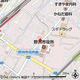 滋賀県野洲市小篠原2097周辺の地図