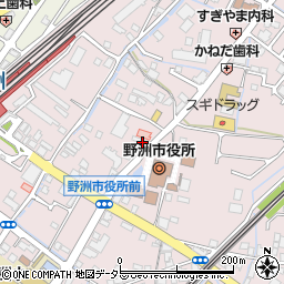 滋賀県野洲市小篠原2096周辺の地図