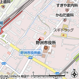 滋賀県野洲市小篠原2090周辺の地図