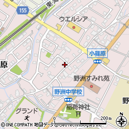 滋賀県野洲市小篠原2541周辺の地図