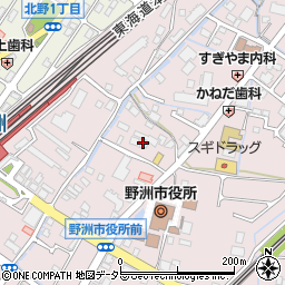 滋賀県野洲市小篠原2018周辺の地図