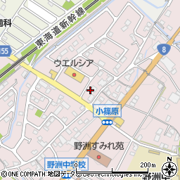 滋賀県野洲市小篠原1602周辺の地図