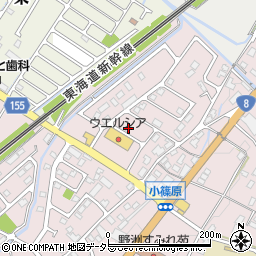 滋賀県野洲市小篠原2564周辺の地図
