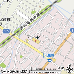 滋賀県野洲市小篠原2565周辺の地図
