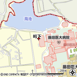 愛知県豊明市間米町峠下周辺の地図