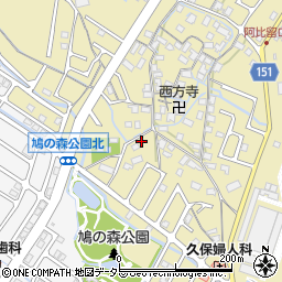 滋賀県守山市小島町1217周辺の地図
