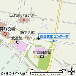 総合文化センター周辺の地図