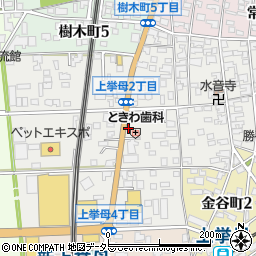 愛知県豊田市上挙母周辺の地図