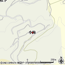 愛知県豊田市上脇町小梅周辺の地図