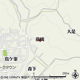 愛知県豊田市古瀬間町藤塊周辺の地図